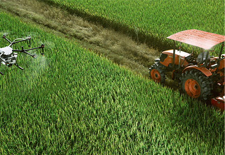 Urea Agricultural Field