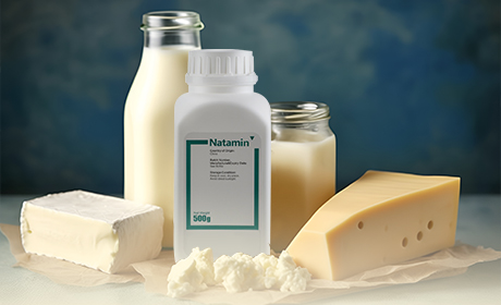 Natamycin and Nisin in Food Preservation