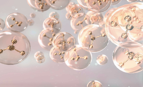 Revealing The Differences Of Collagen Peptides And Collagen Tripeptides