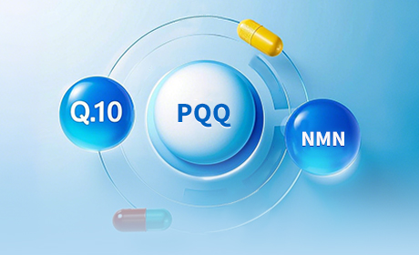 Coenzyme Q10, NMN, PQQ: Scientific Comparison of the Three Major Coenzymes