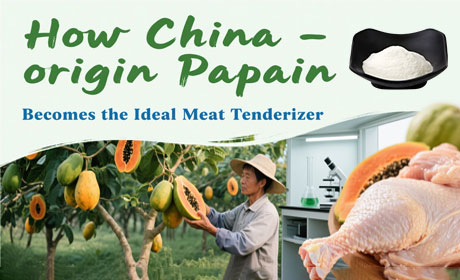 How China - origin Papain Becomes the First Choice of Meat Tenderizer