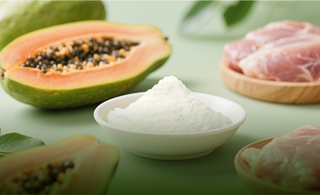 OEM Papain Meat Tenderizer Solutions: Custom Blends & Private Label | AHUALYN