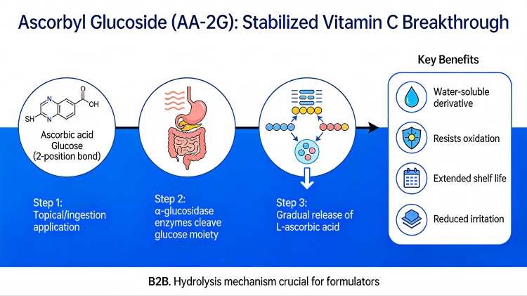 Ascorbyl glucoside molecular structure showing glucose bonding for stable vitamin C derivative formulation