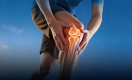Glucosamine vs MSM: Which Boosts Joints Better?