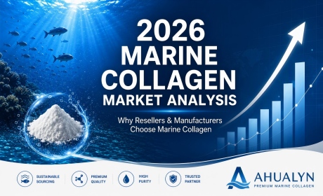 2026 Market Analysis: Why Marine Collagen is the Top Choice for Resellers