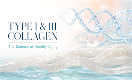 A Deep Dive into Type I & III Collagen: The Science of Age Reversal